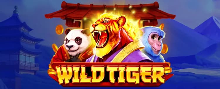 Wild Tiger 