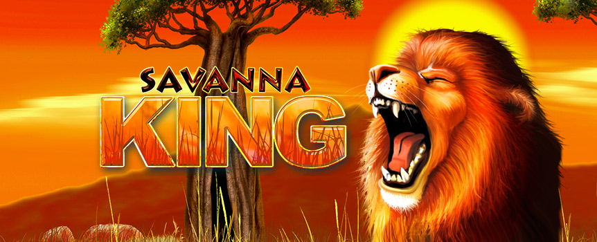Play Savanna King Pokie at Joe Fortune Australia
