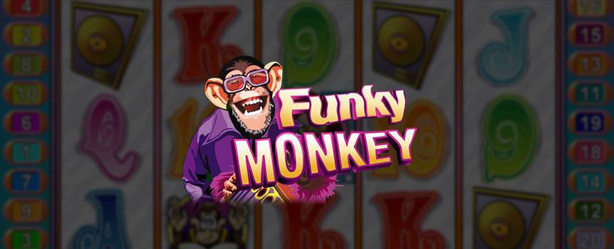 Transport yourself to the swinging 60s, where if you’d seen a group of chimps playing musical instruments, you’d probably just think it was a flashback. With Funky Monkey though, these cheeky chimps are for real. This psychedelic slot features Funky Monkey and his crew performing in a band, as well as some great combinations that could be music to your ears.